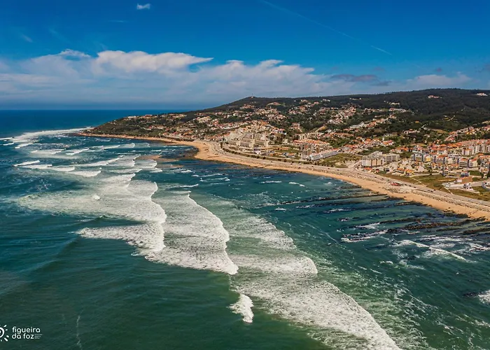 Casa Alto Do Viso * フィゲイラ・ダ・フォズ